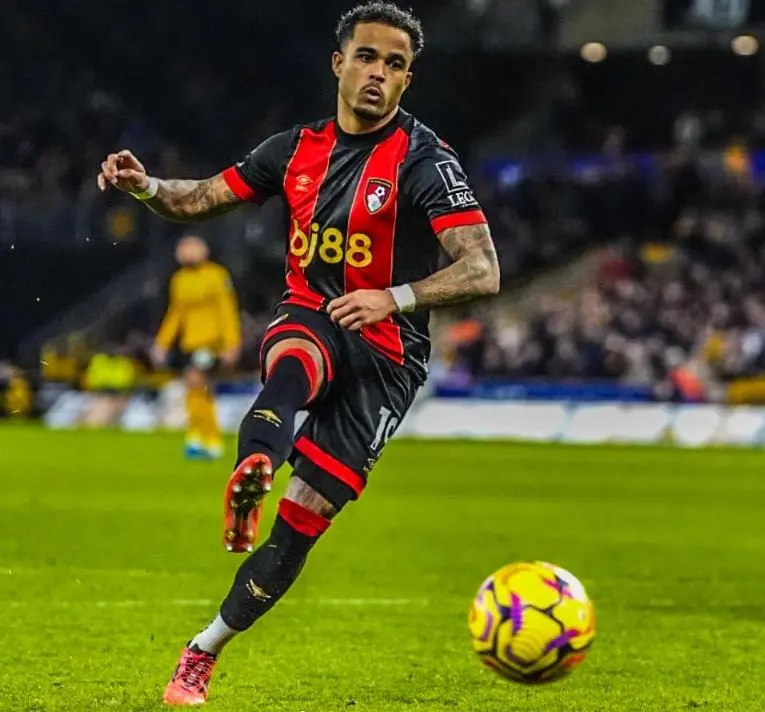 认证, 吉尼斯世界, 宕起伏 认证, 吉尼斯世界, 宕起伏