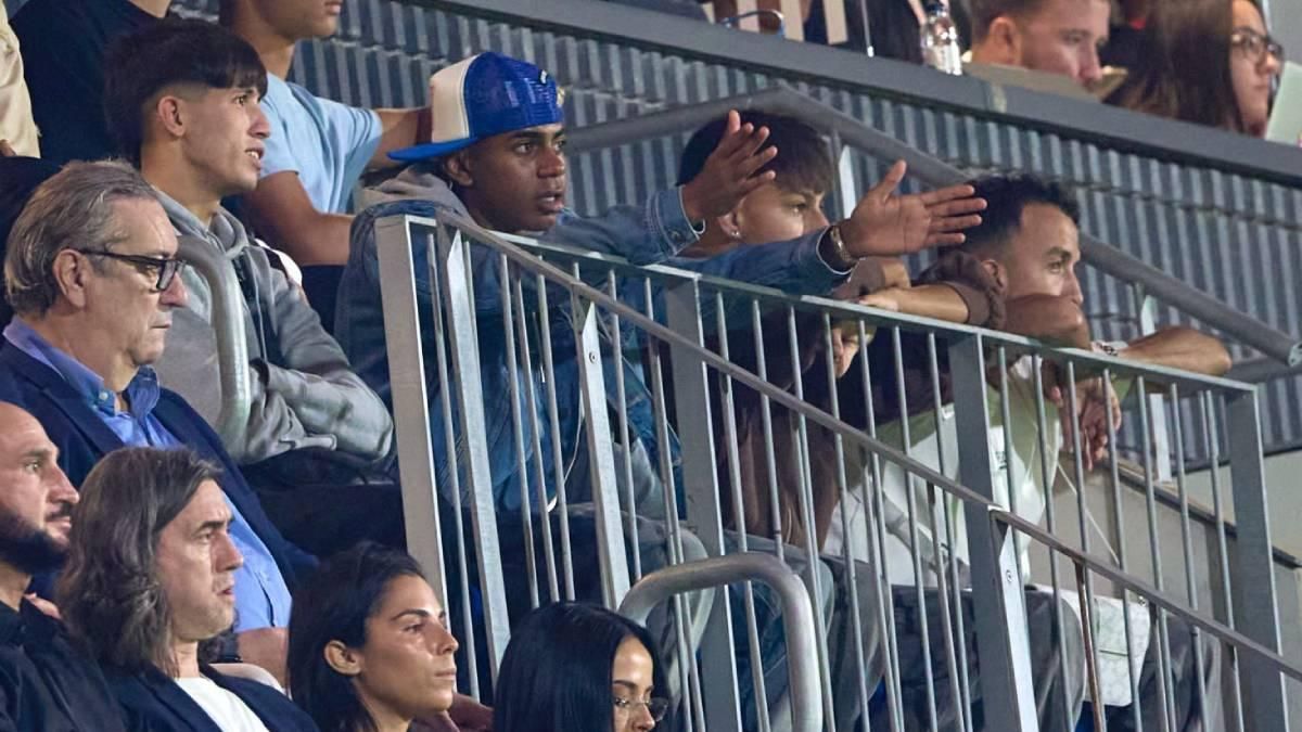 活习惯, 常害羞, 了纽约